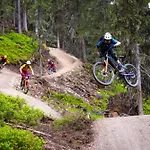 Austrian Alpine