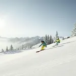 Austrian Alpine Апартаменти