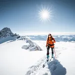 Austrian Alpine Apartman