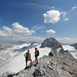 Austrian Alpine Apartman *