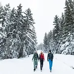Austrian Alpine Апартаменти *