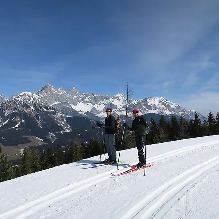 Apartment Austrian Alpine