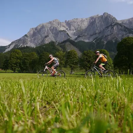 Austrian Alpine *