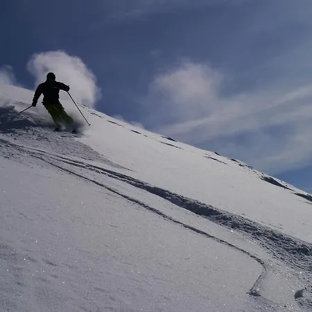 Austrian Alpine