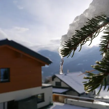 Austrian Alpine Apartment