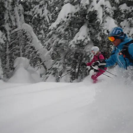 Austrian Alpine Apartamento
