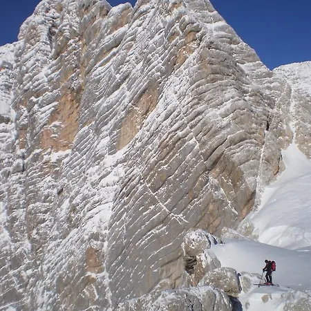 Austrian Alpine