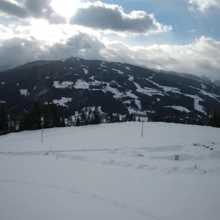 Austrian Alpine