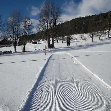 Apartamento Austrian Alpine *