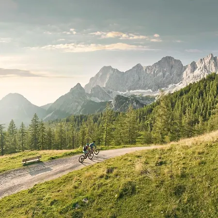 Austrian Alpine Διαμέρισμα Ramsau am Dachstein