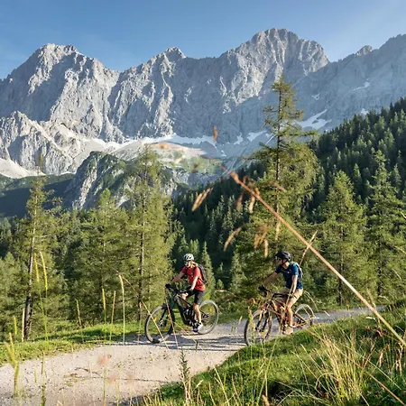 Austrian Alpine Διαμέρισμα *