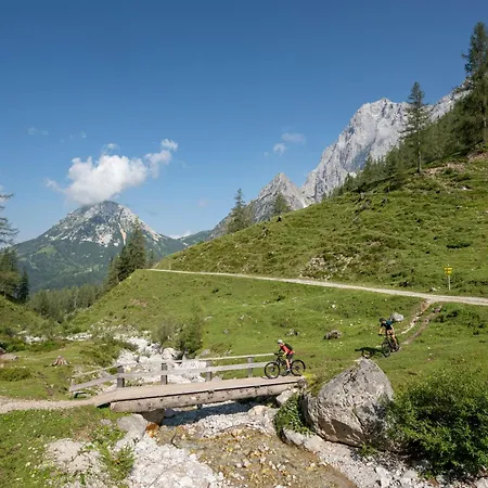 Austrian Alpine Apartman *