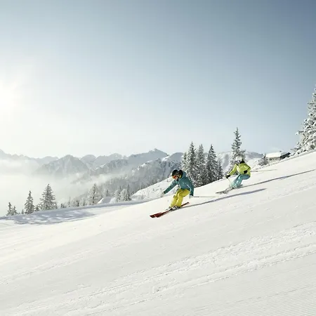 Austrian Alpine Apartman
