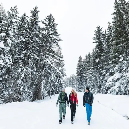 Austrian Alpine Διαμέρισμα *