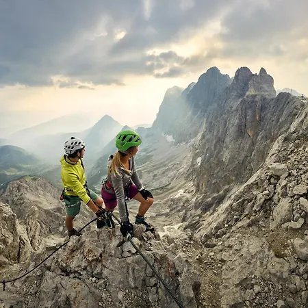 Austrian Alpine