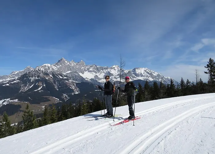 Апартаменти Austrian Alpine