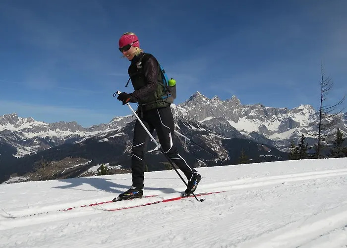 Austrian Alpine Апартаменти Рамзау-ам-Дахштайн