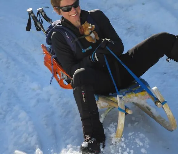 Austrian Alpine Апартаменти *