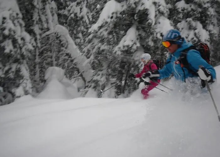 Austrian Alpine Апартаменти