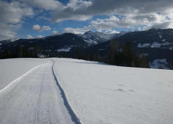 Апартаменти Austrian Alpine *
