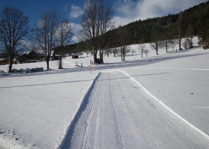 Апартаменти Austrian Alpine *