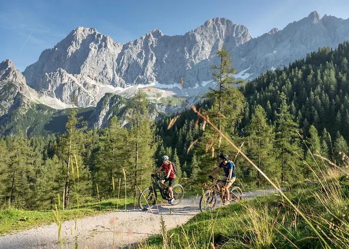 Austrian Alpine Appartamento *