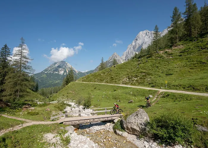 Austrian Alpine Appartamento *