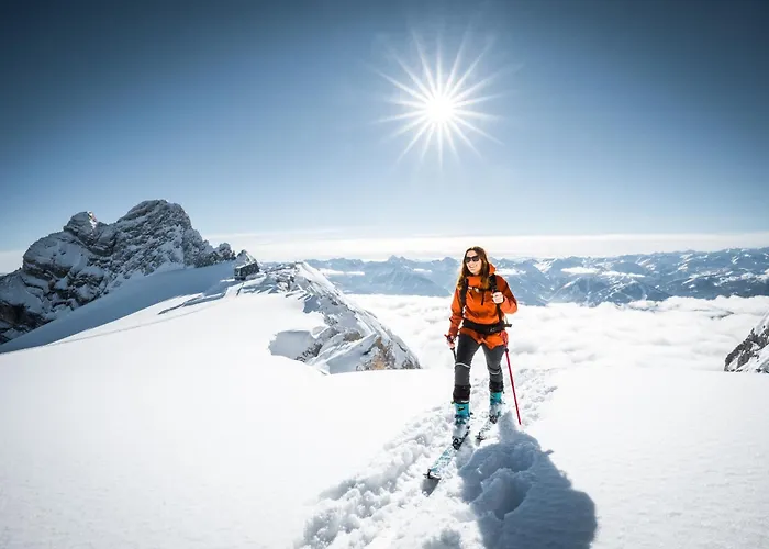 Austrian Alpine Appartamento