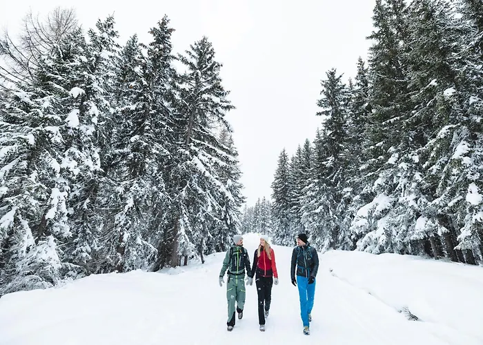 Austrian Alpine Appartamento *